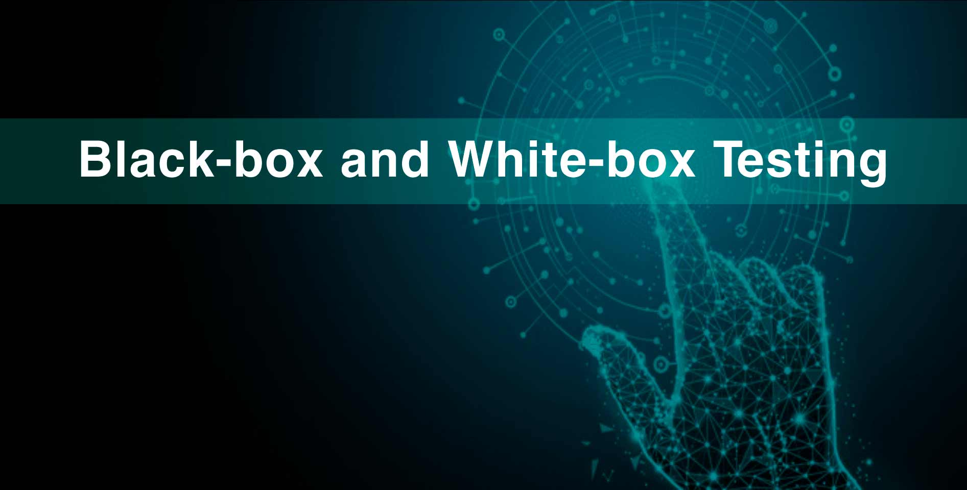 Courserа —  Black-box and White-box Testing