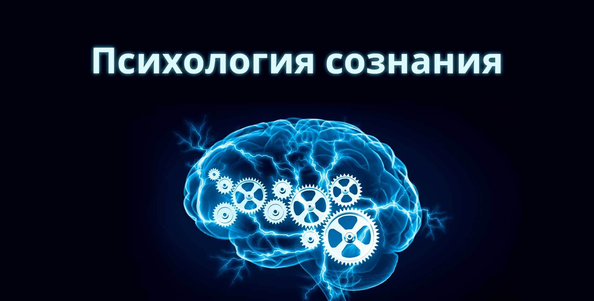 Санкт-Петербургский государственный университет — Психология сознания